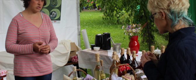 Medicinal plants and herbs tent on the City Days of Odorheiu Secuiesc