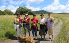 Knowledge transfer in the local communities – Inlăceni