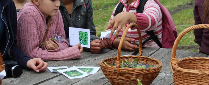 Youth in the „Transylvanian Herb Garden”