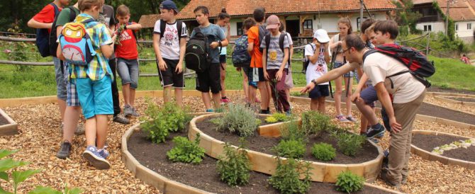 Adventure with medicinal plants