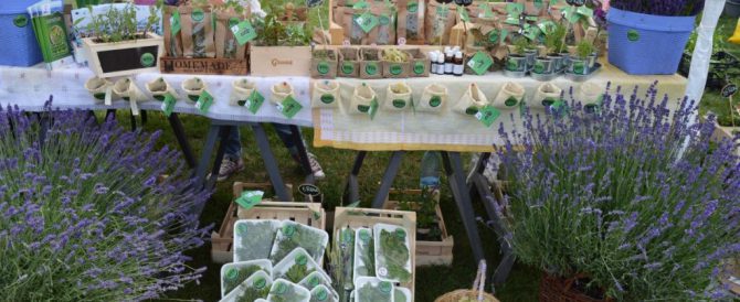 The Team of “Transylvanian Herb Garden” attends its very first fair