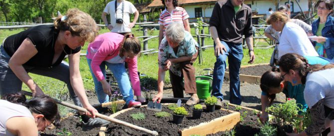 Practical activities at the herb garden of Locodeni