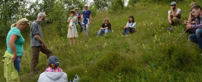 Herb trip in Cluj County