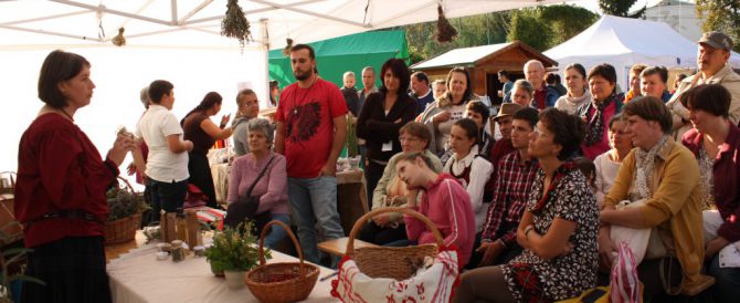The Transylvanian Herbs Garden at the Fruit Festival