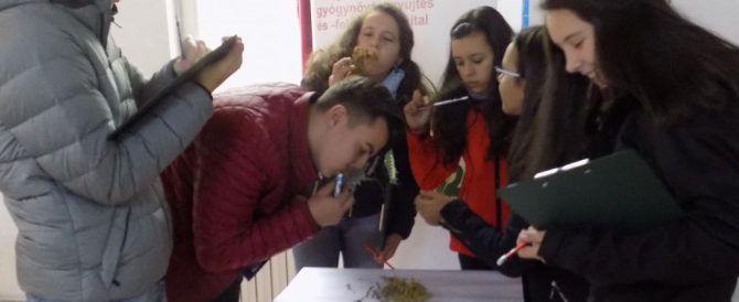 Visit of 8th Grade Pupils from Lupeni in Locodeni